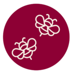 2 Bees vector