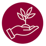 3 Growth vector