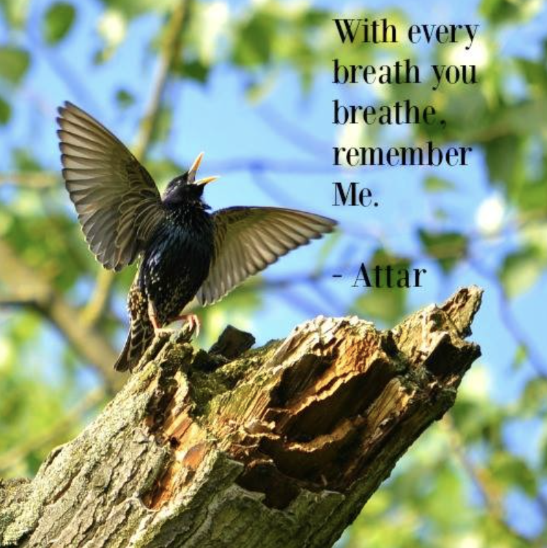 Inner Directions - Attar Inner Directions - Attar