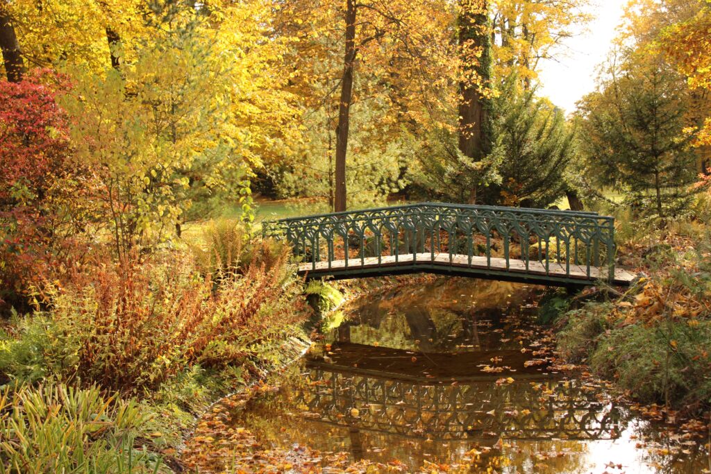 Bridge in autumn setting