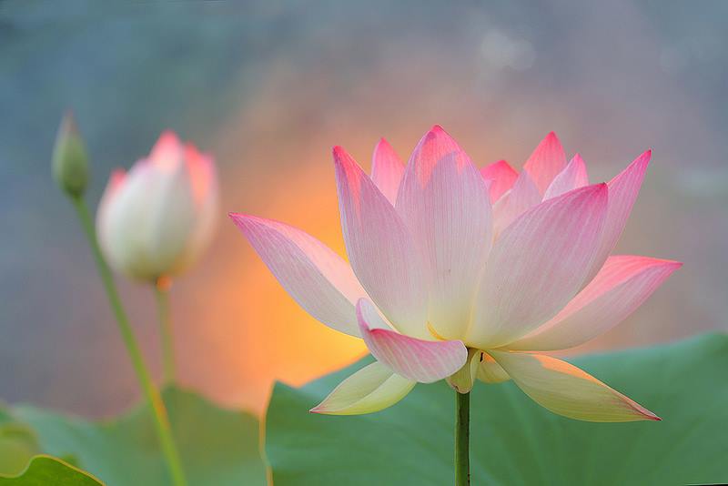 Stillness Speaks 6 Stillness Speaks 6