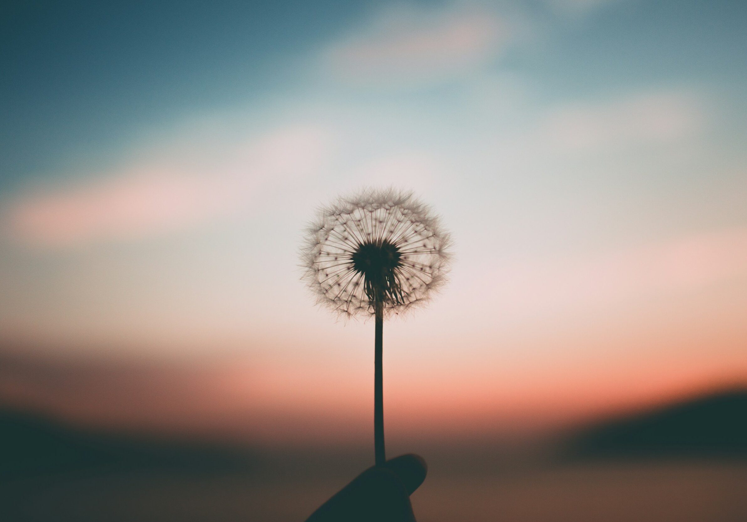 unsplash-image-G-JJy-Yv_dA