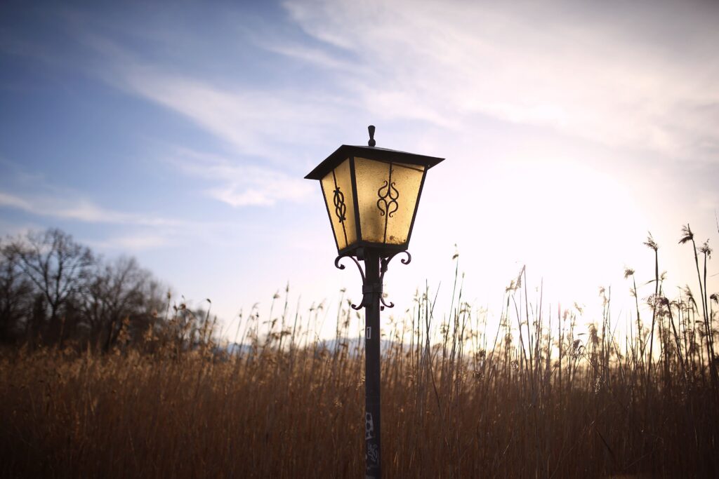 Lantern in the middle of a meadow