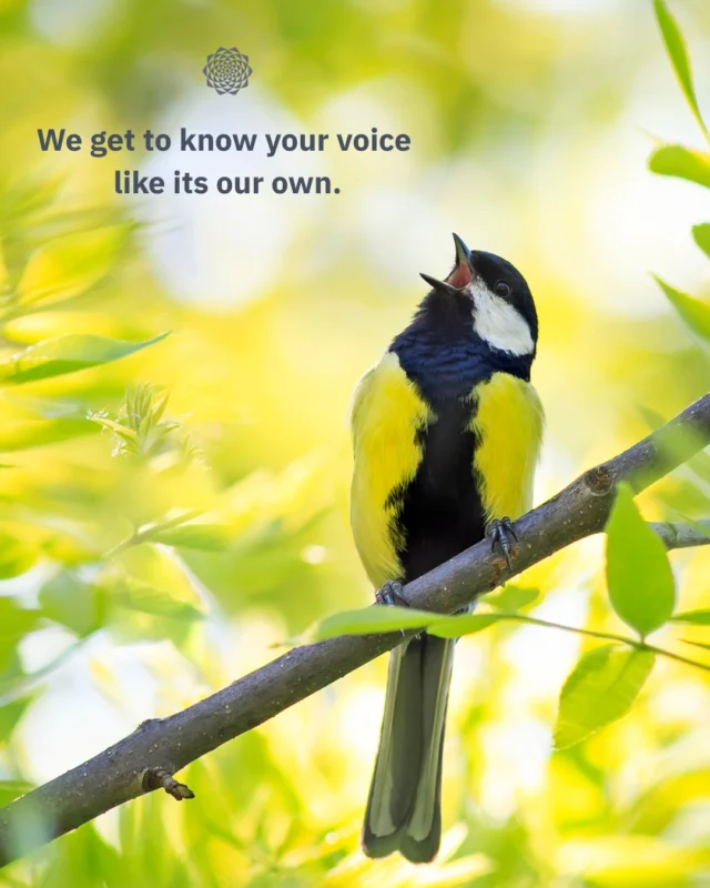 We get to know your voice like its our own.Your goals, values, and style are the heart of everything we create. We build strategies that reflect your unique vision and keep your message consistent across every channel—whether it’s social posts, emails, or blogs. 👩🏻‍💻You can choose how involved you want to be, while feeling confident that your marketing is in thoughtful, capable hands. 🤝 Ready to partner with someone who truly gets your brand? Let’s connect! 🔗 Link in bio#ClientCare #BrandVoice #MarketingStrategy #AuthenticMarketing #InboundMarketing #MarketingWithHeart #MandaliMedia