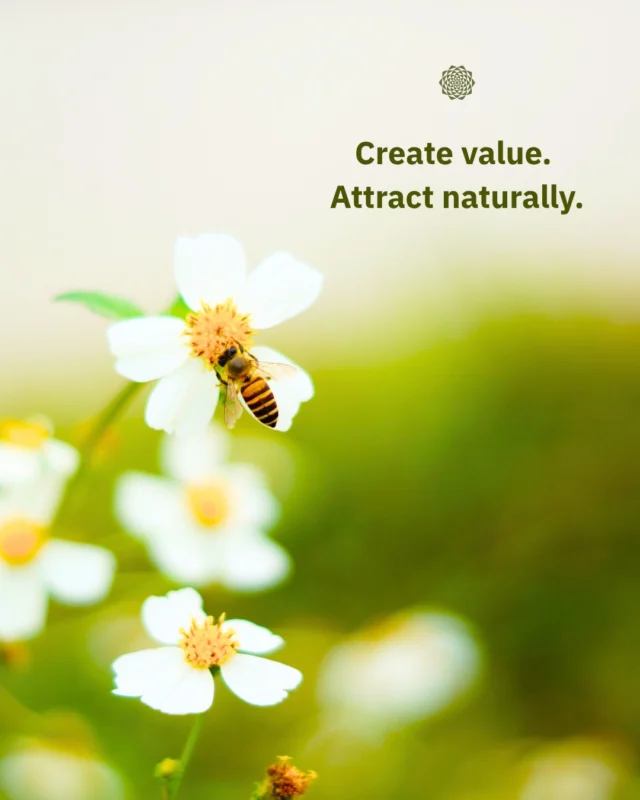 Create value, attract naturally. 🐝⠀⠀Inbound marketing is about offering meaningful help and real solutions that meet your audience’s needs—no pushing, just genuine connection.⠀⠀Like bees to flowers, your audience is drawn to authentic care and purpose. That’s the kind of marketing we believe in at Mandali Media. Curious? Let’s connect!⠀⠀#InboundMarketing #MarketingWithHeart #ServeWithPurpose #CommunityFocused #GrowthDriven #MandaliMedia⠀⠀