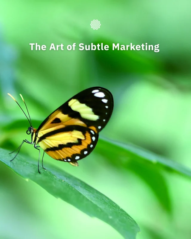 Sometimes it's the quietest voice that gets the most attention. 🎵✨⠀⠀From lessons by piano maestro Daniel Barenboim to brands like Apple, Calm, and Patagonia, we explore how subtlety can create connections that lead to lasting engagement.⠀⠀Dive into our latest blog and learn the art of subtle marketing at the link in our bio 🍃⠀#QuietMarketing #SubtleBranding  #CommunityFocused #GrowthDriven #MandaliMedia⠀