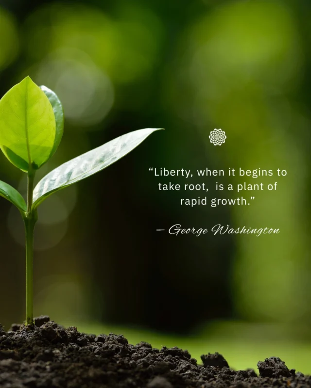 "Liberty, when it begins to take root, is a plant of rapid growth." – George Washington⠀⠀Let’s celebrate our freedom to create, cultivate, and flourish together 🍃⠀⠀#July4th #IndependenceDay #IntentionalLiving #InnerFreedom #ConsciousGrowth  #CommunityFocused #GrowthDriven #MandaliMedia⠀⠀