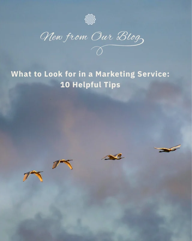 Our latest blog offers 10 helpful tips on finding a marketing service that aligns with your needs. From industry experience and knowledge to transparency and trust, it covers what to look for and common red flags to watch out for. This practical guide helps you make a thoughtful and informed choice. 👩🏻‍🎓⠀⠀Read the full blog at the Blog tab in the link in our bio. 📒 🌻⠀⠀#ConsciousMarketing #InboundMarketing #MarketingService #MarketingExpertise #CommunityFocused #GrowthDriven #MandaliMedia⠀⠀