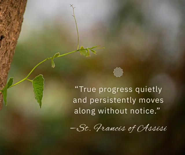 “True progress quietly and persistently moves along without notice.” —St. Francis⠀⠀Steady, values-aligned growth isn’t always immediately obvious, but it’s often the most lasting. The quiet effort you invest today builds the trust, connection, and clarity that carry your work forward. 🕊️⠀⠀.⠀⠀.⠀⠀🌻⠀⠀.⠀⠀.⠀⠀#StFrancis #SoulfulSunday #SundayReflections #AlignedAction #RootedInPurpose #QuietMomentum #MindfulMarketing #SteadyGrowth #CommunityFocused #GrowthDriven #MandaliMedia⠀⠀