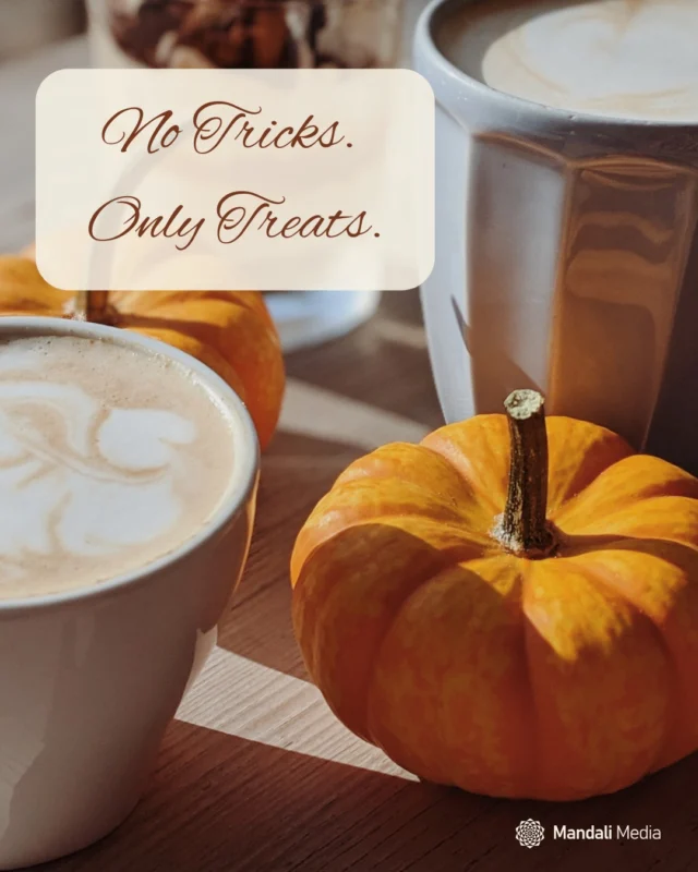 No Tricks, Just Treats. 🎃 Short-term gimmicks and flashy campaigns may grab attention, but they risk scaring your audience away 👻Marketing works best when it’s thoughtful, consistent, and honest—keeping your word and staying true to your brand values. We'll  help your brand:☞ Deliver strategy-driven campaigns that build trust☞ Create content that genuinely connects with your audience☞ Align messaging with your brand purpose and commitments☞ Focus on long-term growth rather than fleeting winsMarketing done with care and intention creates impact, not distrust. Learn how in our latest blog - link in bio ✍🏼#ConsciousMarketing #MindfulMarketing #EthicalMarketing #ContentStrategy #Integrity #CommunityFocus #GrowthDriven #DigitalMarketingServices #MandaliMedia