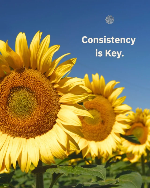 Consistency is key to building a strong online presence and improving your SEO. Posting once in a while or ad-lib content won’t give your audience the trust, recognition, or engagement your brand deserves. We help your brand show up reliably and meaningfully, so your audience knows you, trusts you, and finds you when it matters most.🌻⠀How we help:⠀⠀✍🏼 Create a consistent posting schedule tailored to your audience⠀⠀✍🏼 Craft SEO-optimized content that increases visibility⠀⠀✍🏼 Align content with your brand goals and messaging⠀⠀✍🏼 Engage your audience with meaningful, resonant posts⠀⠀Let’s build a consistent online presence that drives growth and connection 🌻⠀⠀#ConsciousMarketing #MindfulMarketing #ContentStrategy #CommunityFocus #GrowthDriven #DigitalMarketingServices #MandaliMedia⠀⠀