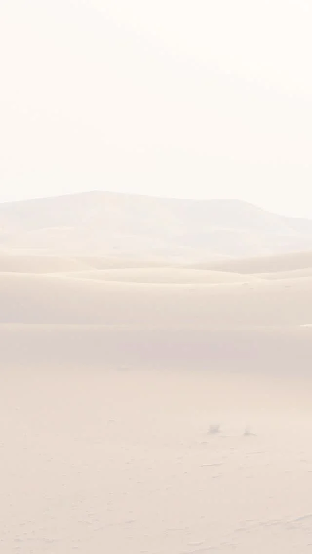 Who are Mandali Media’s ideal clients? We partner with mission-driven, customer-focused brands and organizations that are ready to make a positive impact. If your business aligns with any of the following, then you are our tribe!⠀⠀🌍 Eco-Friendly, Sustainable & Renewable Energy Brands⠀💡 Holistic Wellness & Conscious Living⠀🧘‍♂️ Personal Development & Coaching⠀🏥 Health & Wellness Practitioners⠀🌱 Organic & Ethical Products⠀🎨 Creative & Purpose-Driven Entrepreneurs⠀📚 Authors, Speakers & Public Figures⠀🎵 Musicians, Music Teachers & Schools⠀🤝 Non-Profit Organizations Making an Impact⠀⠀We help you share your mission, engage your audience, and grow your impact online. Let's make a difference together!⠀⠀We offer a FREE 30-minute consultation. Contact us at the link in our bio. ⠀⠀#ConsciousMarketing #MindfulMarketing #ContentStrategy #CommunityFocus #GrowthDriven #DigitalMarketingServices #MandaliMedia⠀