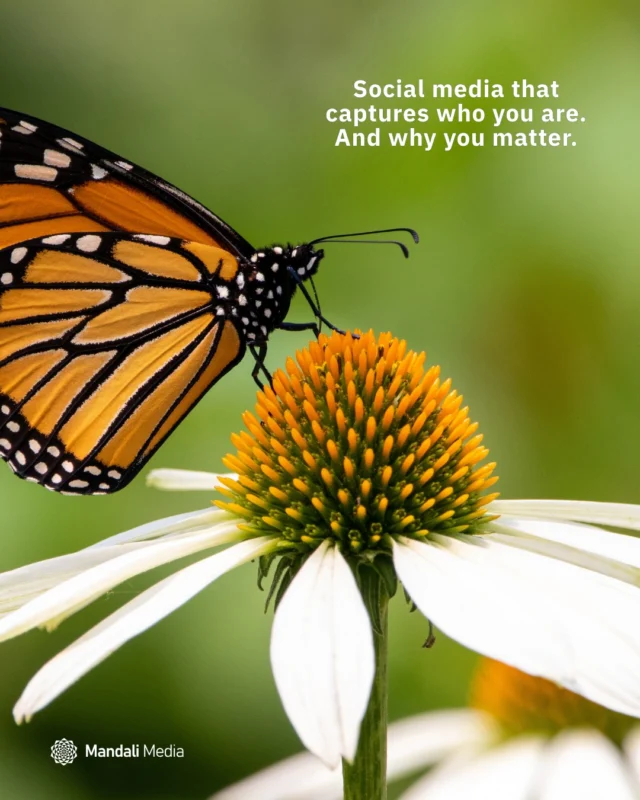 Social media that captures who you are and why you matter.⠀⠀Looking for an expert partner to manage your social media presence? Choose Mandali Media and invest in flexible, affordable packages tailored to meet your growth goals. With almost two decades of experience creating social media strategies to help businesses grow, our expertise will help steer your brand toward continued success.⠀⠀We offer a FREE 30-minute consultation → link in bio⠀⠀#SocialMediaStrategy #ContentMarketing #CommunityFocus #GrowthDriven #DigitalMarketingServices #MandaliMedia⠀⠀