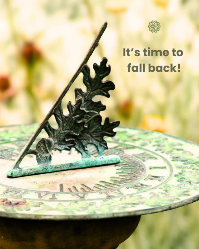 Today we fall back! 🍂  Daylight Saving Time ends, so set your clocks back one hour. 🕰️ This year, daylight saving time ends Sunday, Nov. 2 at 2 a.m. local time.Not all countries observe it—most of North America and Europe do, while many parts of Asia and Africa don’t. It’s a small shift in time, but a nice reminder to pause, reset, and enjoy the season ahead. Extra morning light and maybe a little extra rest await. 🍁#FallBack #DaylightSavings #AutumnVibes #MandaliMedia