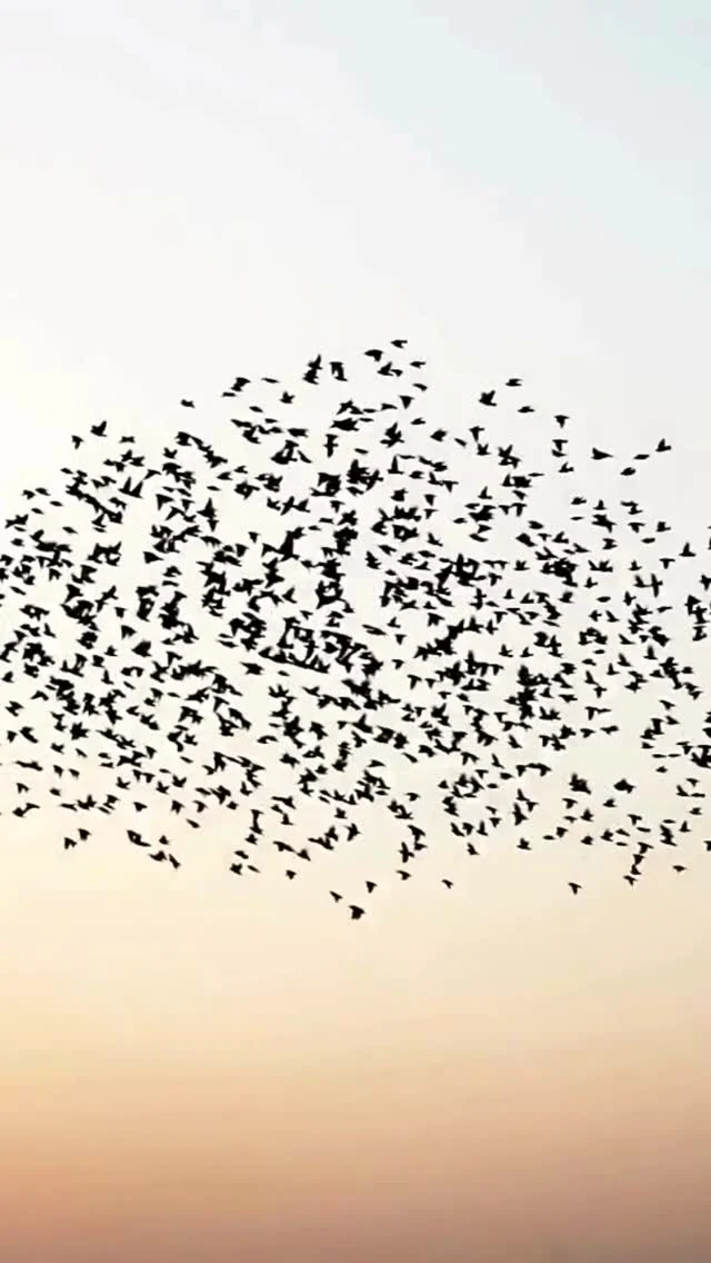 Growth isn’t just about numbers—it’s about connection. We develop customized content strategies so that your brand connects with the right people, at the right time.⠀⠀Ready to build a community that supports and amplifies your vision? Contact us for a free 30-minute consultation 🌻⠀⠀#ContentStrategy #ContentThatConnects #CommunityFocused #GrowthDriven #InboundMarketing #DigitalMarketing #MandaliMedia⠀⠀