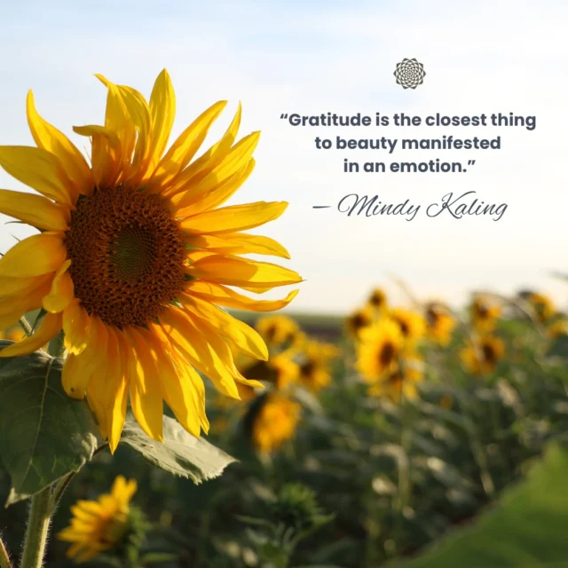 “Gratitude is the closest thing to beauty manifested in an emotion.” — Mindy Kaling⠀⠀This quote reminds us that beauty isn’t just what we see—it’s what we feel and share. Gratitude has the power to transform ordinary moments into something meaningful, to deepen our connections, and to infuse our lives with joy and wonder.✨⠀⠀Let’s take a moment today to pause and appreciate the gifts in our lives. By practicing gratitude, we not only enrich our own emotional world but also contribute to the beauty and warmth of the world around us. 🌻⠀⠀#MindfulLiving #ThankfulHeart #InnerBeauty #GratefulLiving #PositiveEmotions #AppreciationMatters #KindnessInAction #BeautyOfGratitude #Gratitude #MandaliMedia⠀⠀