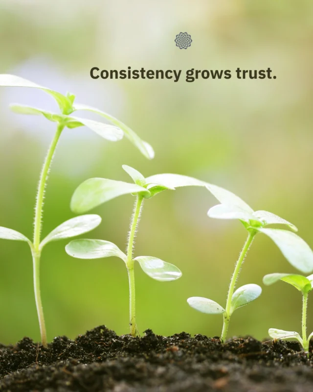 Consistency grows trust ✨ When your brand voice, message, and content stay aligned across your marketing, people recognize you and feel confident engaging with your work. You do not need to post more, you need to show up with clarity and intention 🌱⠀⠀Curious what a more cohesive approach could look like for your business? Let’s talk 🌻⠀⠀#MarketingConsistency #BrandClarity #BuildTrust #StrategicMarketing #SmallBusinessMarketing #SustainableGrowth #IntentionalMarketing #ContentConsistency #BrandTrust #CommunityFocused #GrowthDriven #MandaliMedia⠀⠀