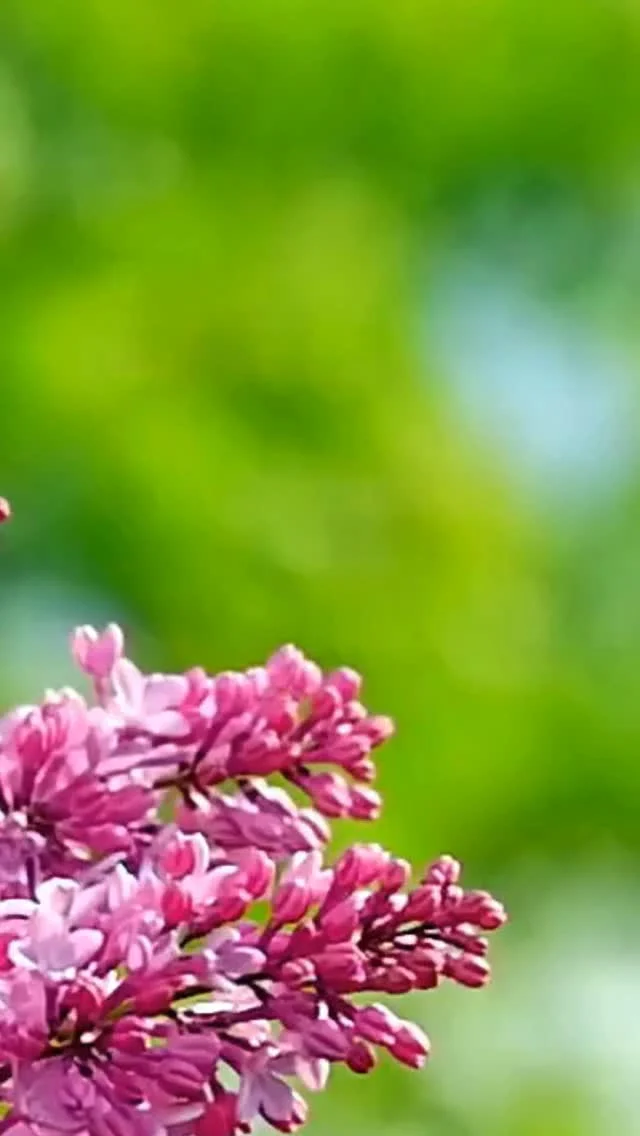 “Kind hearts are the gardens, kind thoughts are the roots, kind words are the flowers, kind deeds are the fruits.’ — Henry Wadsworth Longfellow ⠀⠀Kindness isn’t just a value—it’s how your brand builds trust and connection. We’re here to help you grow your presence both ethically and effectively 🌸 🌿⠀⠀#RandomActsOfKindnessDay #KindnessMatters #ConsciousMarketing #EthicalMarketing #BuildTrust #ConnectionMatters #SustainableGrowth #CommunityFocused #MandaliMedia⠀⠀