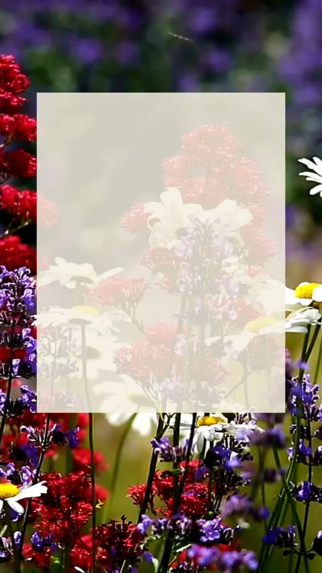 Wishing all who celebrate a very Happy Eid, Happy Nowruz and First Day of Spring 🌷🌿As new beginnings unfold and fresh energy stirs within, it’s the perfect time to sow your dreams and nurture your intentions. Step into the season with purpose 🌻#SpringEquinox #SpringRenewal #NewBeginnings #IntentionalMarketing #SeasonOfGrowth #FreshStart #PlantingSeeds #CommunityFocused #GrowthDriven #MandaliMedia#SpringEquinox #SpringRenewal #NewBeginnings #IntentionalMarketing #SeasonOfGrowth #FreshStart #PlantingSeeds #CommunityFocused #GrowthDriven #MandaliMedia