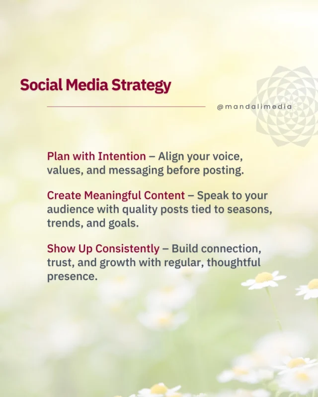 Stop guessing. Start attracting 🐝⠀⠀Our monthly social media calendars are built from a strategy aligned with your business goals, so every post is designed to reach your ideal clients 🌻✨⠀⠀#SocialMediaManagement #SocialMediaStrategy #CommunityFocused #GrowthDriven #MandaliMedia⠀⠀