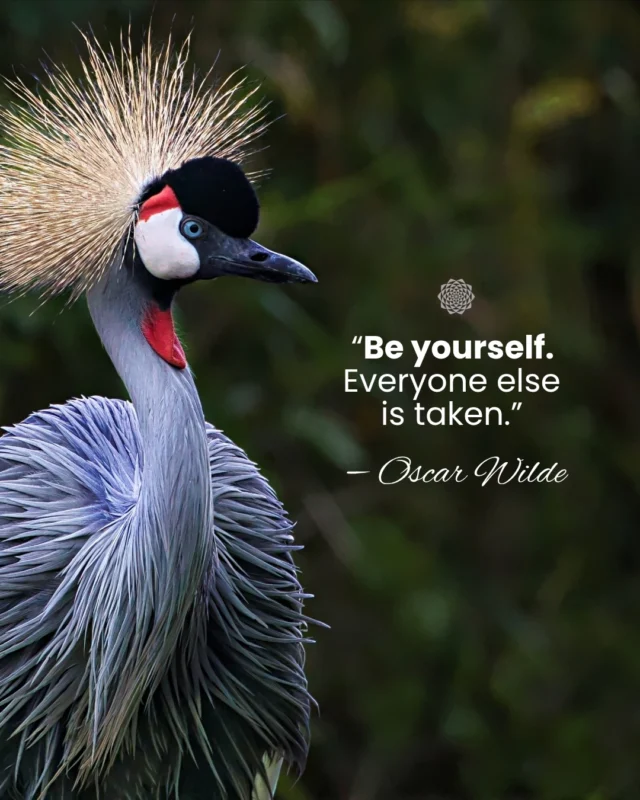 “Be yourself. Everyone else is taken.” — Oscar Wilde⠀⠀In marketing, it is easy to feel like you have to follow what everyone else is doing.⠀⠀But the brands people remember are not the ones blending in. They are the ones that feel real, grounded, and true to who they are. Your unique voice, your perspective, your story, that is your advantage 🥁⠀⠀#AuthenticMarketing #WisdomWednesday #BuildTrust  #InboundMarketing #ConsciousMarketing #CommunityFocused #GrowthDriven #MandaliMedia⠀⠀