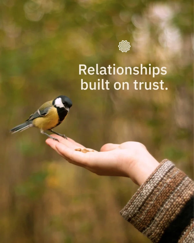 The cornerstone of our work is rooted in honesty and integrity 🌿, and it shapes everything we do, from how we communicate to what we promise to how we follow through.⠀⠀Trust doesn’t happen quickly. It builds slowly over time through consistency, alignment, and actions that match words 🌱⠀⠀Today feels like a reminder of that, and of how trust is really built in any meaningful relationship or business 🤝⠀⠀If you want your marketing to reflect these values, we would be glad to connect ☕️⠀⠀#NationalHonestyDay #InboundMarketing #ConsciousMarketing #CommunityFocused #GrowthDriven #MandaliMedia⠀⠀