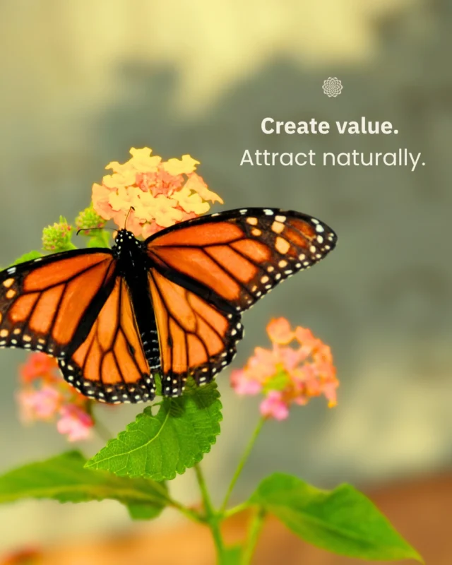 When your work is rooted in true value, people notice. Content that is thoughtful, relevant, and genuinely helpful builds trust and attracts the right audience 🦋⠀⠀Shifting your focus from gaining attention to offering something meaningful creates a more natural and lasting path to growth 🌻⠀⠀#AttractWithValue #AuthenticMarketing #InboundMarketing #ConsciousMarketing #CommunityFocused #GrowthDriven #MandaliMedia⠀⠀