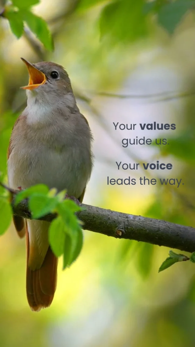 We take the time to know your voice as if it were our own 🐦‍⬛🎶⠀⠀Your goals, values, and style shape everything we create. We build content and strategy that is aligned with your brand, so your message stays consistent and authentic across every platform ✍🏼⠀⠀You can be as involved as you like, knowing your marketing is being handled with thought, care, and intention 🤝⠀⠀If you are looking for a marketing service that truly reflects your business, let’s connect 🌻⠀⠀#BrandVoice #ContentStrategy #ContentMarketing #InboundMarketing #CommunityFocused #GrowthDriven #MandaliMedia