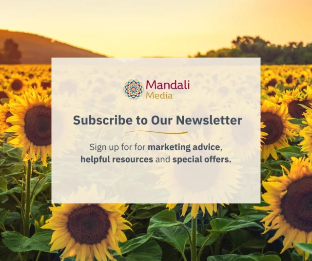 Stay connected. Link to subscribe is in our bio 🌻⠀⠀#Newsletter #MarketingInsights #BusinessGrowth #SubscriberPerks #InboundMarketing #ConsciousMarketing #CommunityFocused #GrowthDriven #MandaliMedia
