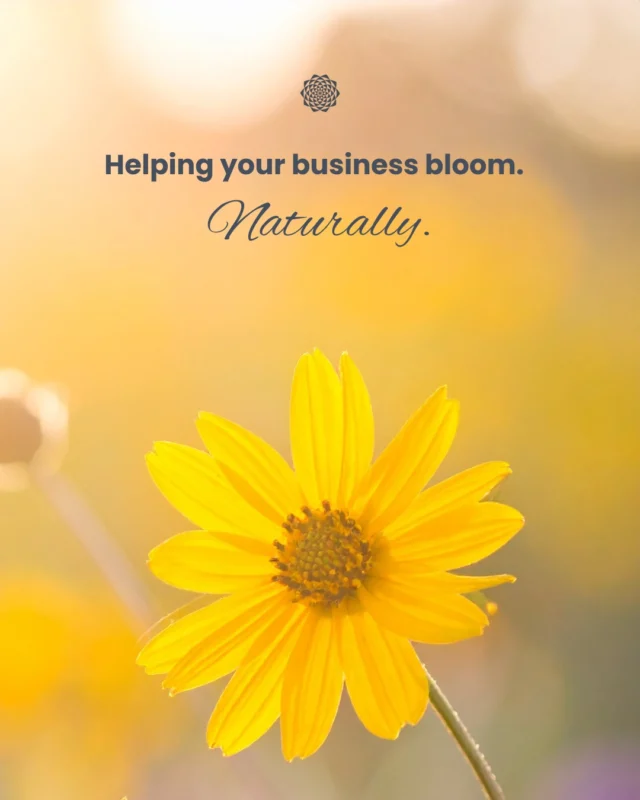 🌻 Ready to grow your business with content that feels natural and true to you? Here’s how we help you attract and connect with your ideal audience:⠀⠀• Website Design — We create websites that reflect your vision, speak to your audience, and gently guide visitors with clear messaging and built-in SEO.⠀ • Nurture Pathways — Thoughtful content journeys that nurture your customers with care, offering helpful insights to support their decisions.⠀ • Blog Writing — Engaging, SEO-informed blog posts that share your expertise and cultivate your voice as a trusted resource.⠀⠀With intentional, high-quality content, you’ll build meaningful connections that help your business blossom. Let’s grow together >> link in bio.⠀⠀#MarketingWithHeart #ConsciousMarketing #ContentStrategy #CommunityFocused #GrowthDriven #MandaliMedia⠀⠀