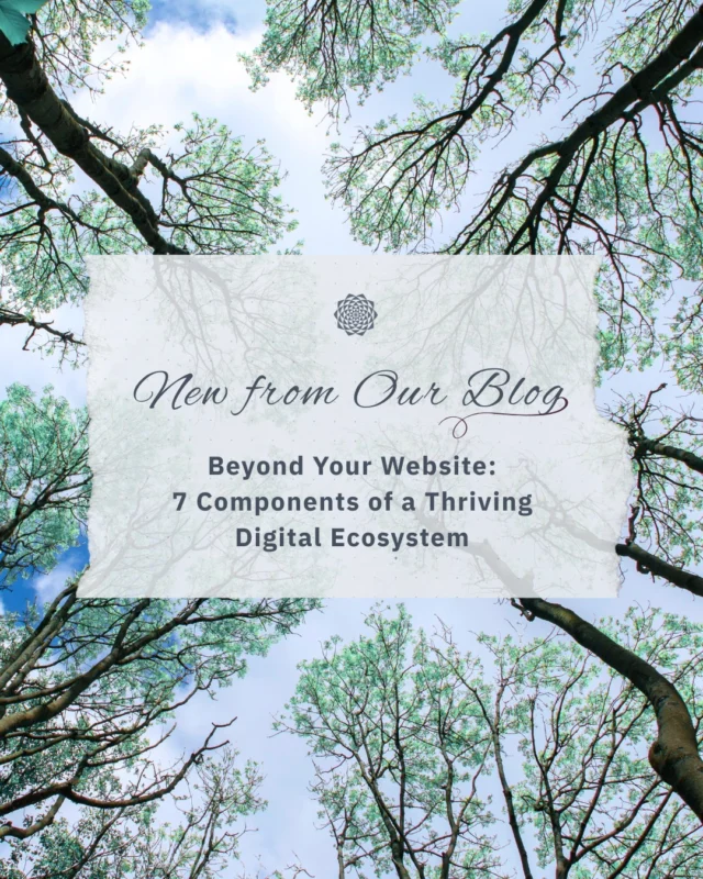Your website can't do all the heavy lifting on its own. Just like a thriving ecosystem in nature, sustainable growth happens when everything works together. 🌳🌳🌳⠀⠀Social media, email marketing, SEO, reviews, referrals, and your website each play a role in attracting and engaging the right people 🧲⠀⠀Our latest blog breaks down the 7 components of a thriving digital ecosystem and how they support long-term growth 🌱⠀⠀✨ Link in bio to read more.⠀⠀#DigitalEcoSystem #HolisticMarketing #CompleteMarketing #ComprehensiveMarketing #DitialMarketing #CommunityFocused #GrowthDriven #MandaliMedia⠀