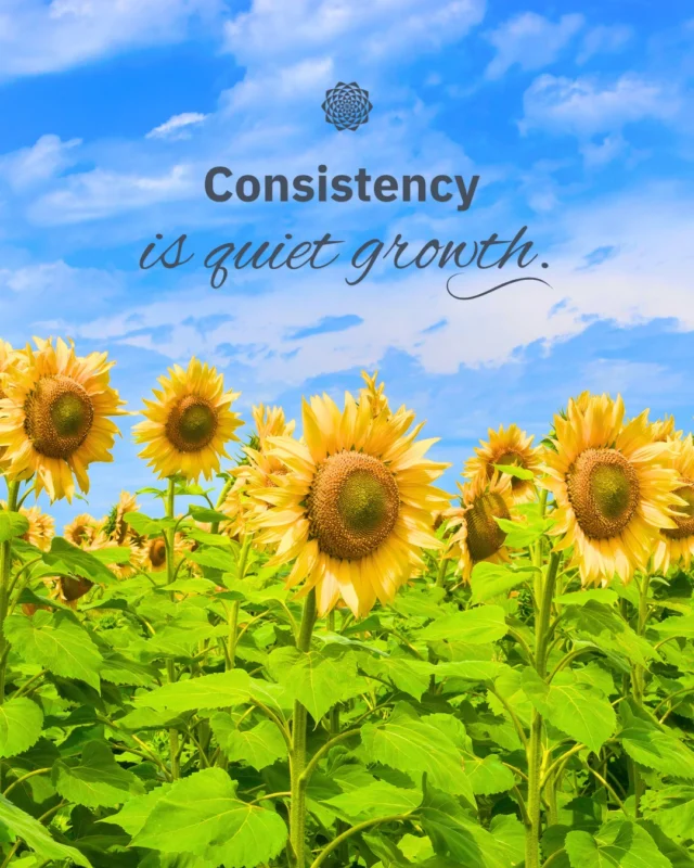 Consistency is quiet growth, It is one of the most powerful things you can do for your brand — and one of the hardest to maintain. But here is the truth: you do not need to post every day to stay visible. A few intentional, well-crafted posts each week are enough to build recognition, nurture trust, and keep your business top of mind for your audience. It is not about being everywhere. It is about showing up where it matters, in a way that feels authentic to who you are. ⠀⠀When your content reflects your values and speaks to the people you want to reach, consistency becomes a lot more sustainable.⠀⠀Looking to show up more consistently for your audience? We would love to help make it easier. Link in bio 🌻⠀⠀#ConsistencyIsKey #ContentStrategy #ContentMarketing #SocialMediaStrategy #SmallBusinessMarketing #OrganicGrowth #IntentionalMarketing #AuthenticMarketing #CommunityFocused #GrowthDriven #ConsciousMarketing #MandaliMedia⠀⠀
