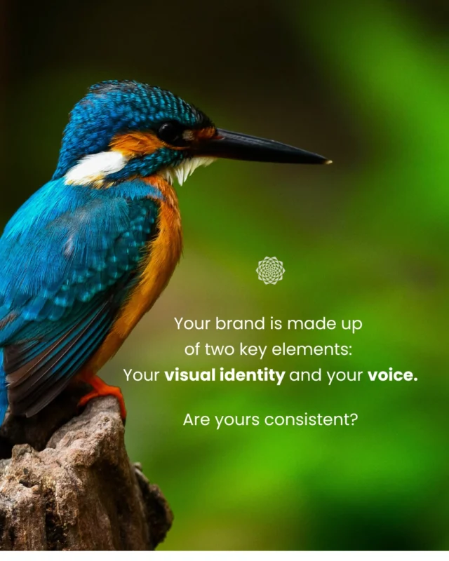 Your brand is made up of two key elements: your visuals and your voice.⠀⠀Your visuals include colors, fonts, logos, images, and overall design style. Your voice is the tone and personality behind your content. When these two work together, they create a clear and recognizable identity.⠀⠀Brand consistency is what keeps that identity strong across your website, social media, and marketing materials. It helps people recognize you faster, trust you more easily, and remember you longer.⠀⠀Consistency also signals stability. It shows your audience that your business is intentional, reliable, and clear about what it stands for.⠀⠀At Mandali Media, we help you align your visuals and voice so your brand feels cohesive and stands out for the right reasons.⠀⠀Let’s build a brand people remember 🌻⠀⠀#BrandDevelopment #BrandConsistency #BrandVoice #BrandStrategy #VisualIdentity #CommunityFocused #GrowthDriven #DigitalMarketingServices #MandaliMedia⠀⠀