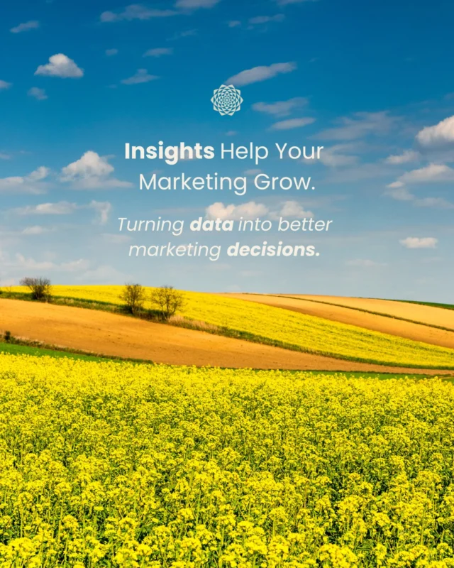 Marketing is most effective when it’s guided by insight, not assumptions.⠀⠀Analytics help you understand what is connecting with your audience, where opportunities exist, and how your marketing can continue to improve 🌻⠀⠀At Mandali Media, we look beyond surface-level numbers to understand the story behind the results 🕵🏻‍♀️⠀⠀Examples of what we track include:⠀⠀✨ Social media analytics: Which content drives engagement, what topics resonate, audience growth, reach, and website traffic from social platforms.⠀⠀✨ Email marketing analytics: Open rates, click-through rates, subscriber growth, and which messages encourage people to take action.⠀⠀✨ Online reputation: Reviews, ratings, customer feedback, and trends that shape how people perceive your business.⠀⠀✨ SEO analytics: Website traffic, search visibility, keywords, and how people find your business online.⠀⠀Analytics turn data into meaningful insights, helping you make informed decisions, refine your strategy, and build stronger connections with your audience.⠀⠀#DigitalMarketing #MarketingAnalytics #BusinessGrowth #InboundMarketing #MandaliMedia⠀⠀Digital Marketing Services │ Marketing Analytics │ Marketing Insights │ Marketing Reports⠀⠀