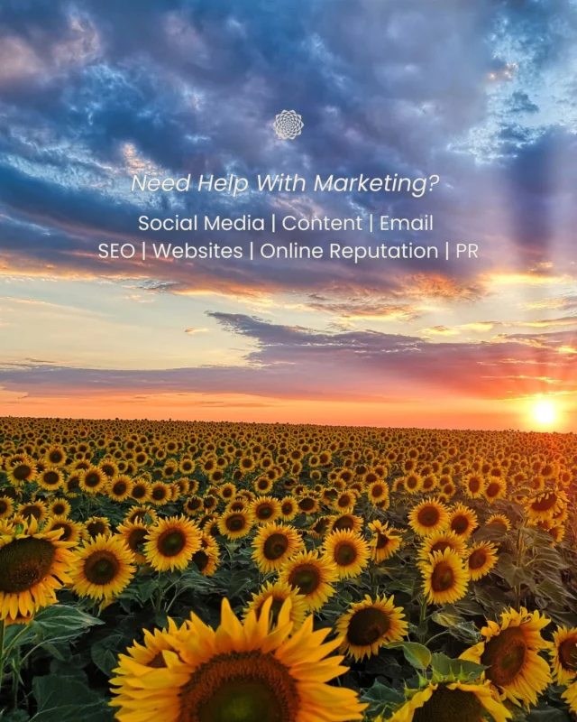 Need help with your digital marketing? Mandali Media can help.⠀⠀🌿 Social media management⠀🍃 Content marketing⠀🌱 Email marketing⠀🌿 Website design⠀🍃 SEO⠀🌱 Reputation management⠀🌿 Public relations⠀⠀From building your online presence to staying connected with your audience, we help small businesses and organizations make the most of their digital marketing ✨⠀⠀Whether you need help with one area or a more comprehensive approach, we're here to support you with affordable solutions. Contact us to learn more 🌻⠀⠀#DigitalMarketingServices #InboundMarketing #CommunityFocused #GrowthDriven #MandaliMedia⠀⠀